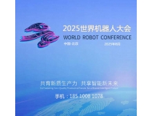 武漢市2025世界機器人大會蓄勢待發，人形機器人市場火熱迎接產業新紀元